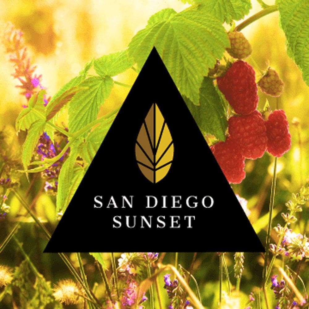 Azure Black Line San Diego Sunset Hookah Shisha Flavor