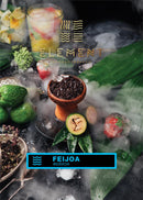 Element Water Line Feijoa Hookah Flavors -