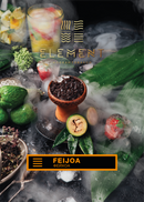 Element Earth Line Feijoa Hookah Flavors -