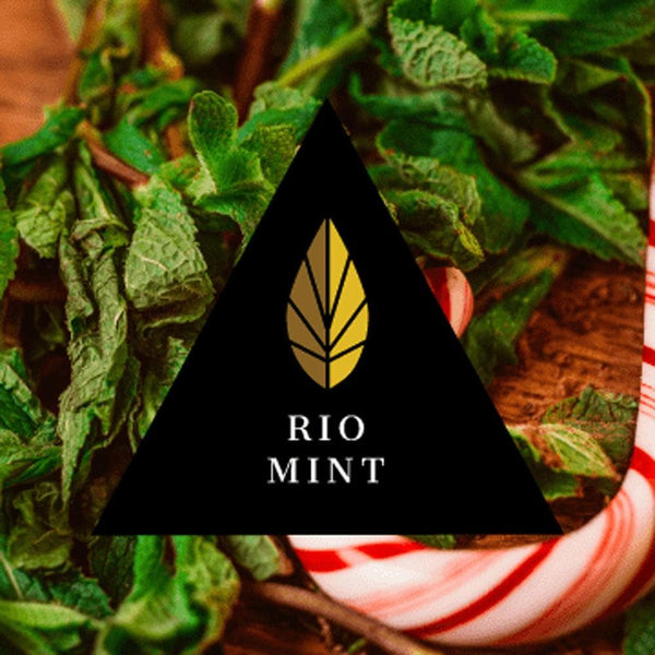 Azure Black Line Rio Mint 100g - 