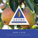 Azure Gold Line Grow A Pear 100g - 