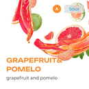 Element Water Line Grapefruit & Pomelo Hookah Flavors -