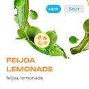 Element Water Line Feijoa Lemonade Hookah Flavors -
