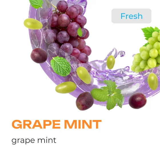 Element Earth Line Grape Mint - 