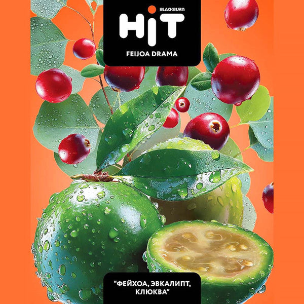 Blackburn Hit Feijoa Drama Hookah Flavors -