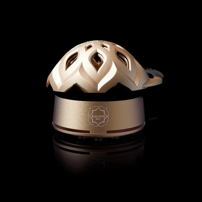 Kaloud Lotus I+3 Stainless Steel Heat Management Device - Auris