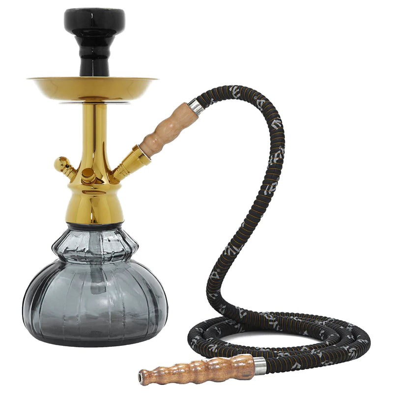 MYA Mono 252-200 Glass Small Hookah - 