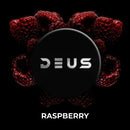 Deus Raspberry Hookah Shisha Tobacco -