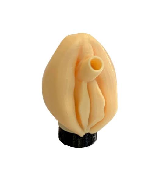 3D Personal Hookah Mouth Tip - Pussy