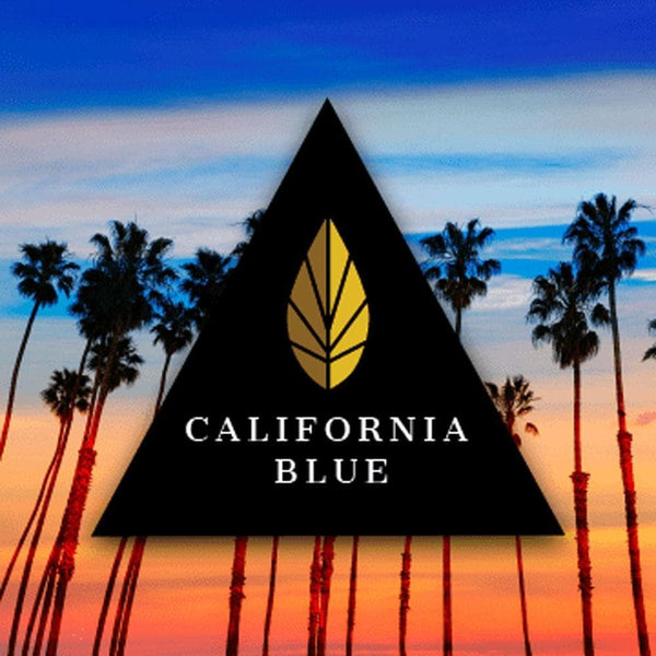 Azure Black Line California Blue 100g - 