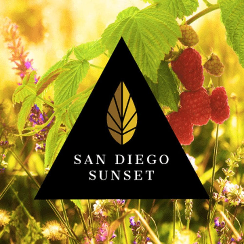 Azure Black Line San Diego Sunset 100g - 