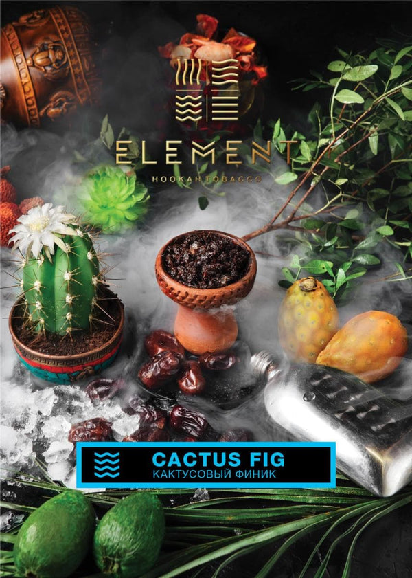 Element Water Line Cactus Fig - 
